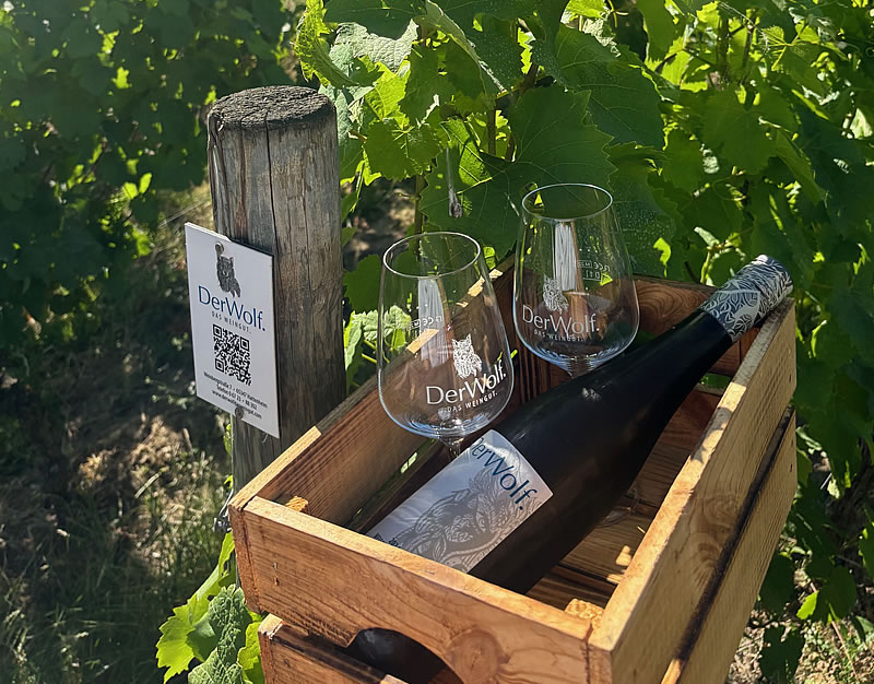 Der Wolf. Das Weingut.